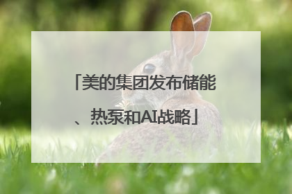 美的集团发布储能、热泵和AI战略