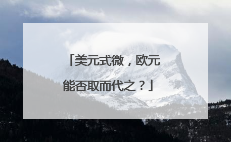 美元式微，欧元能否取而代之？