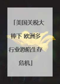 美国关税大棒下 欧洲多行业恐陷生存危机