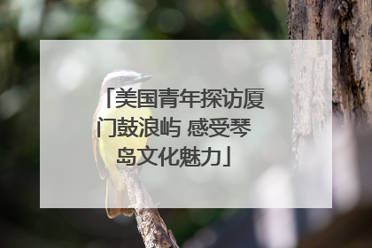 美国青年探访厦门鼓浪屿 感受琴岛文化魅力