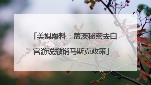 美媒爆料：盖茨秘密去白宫游说撤销马斯克政策