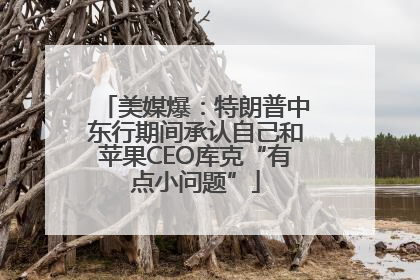 美媒爆：特朗普中东行期间承认自己和苹果CEO库克“有点小问题”