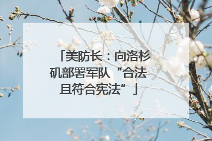 美防长：向洛杉矶部署军队“合法且符合宪法”