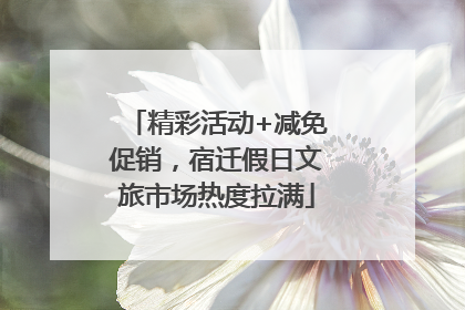 精彩活动+减免促销，宿迁假日文旅市场热度拉满