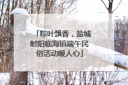 粽叶飘香，盐城射阳临海镇端午民俗活动暖人心
