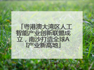 粤港澳大湾区人工智能产业创新联盟成立，南沙打造全球AI产业新高地