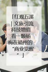 红观五溪｜文旅引流 科技增值 看一颗杨梅在靖州的“商业觉醒”