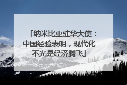 纳米比亚驻华大使：中国经验表明，现代化不光是经济腾飞