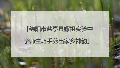绵阳市盐亭县嫘祖实验中学师生巧手剪出家乡神韵