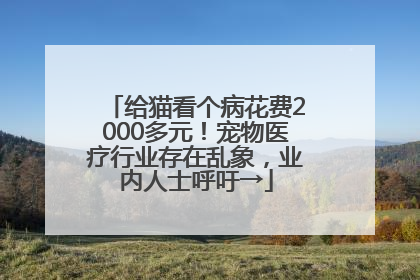 给猫看个病花费2000多元！宠物医疗行业存在乱象，业内人士呼吁→