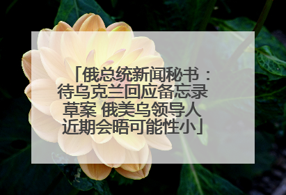 俄总统新闻秘书：待乌克兰回应备忘录草案 俄美乌领导人近期会晤可能性小