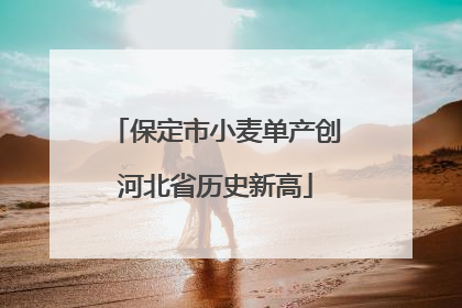 保定市小麦单产创河北省历史新高