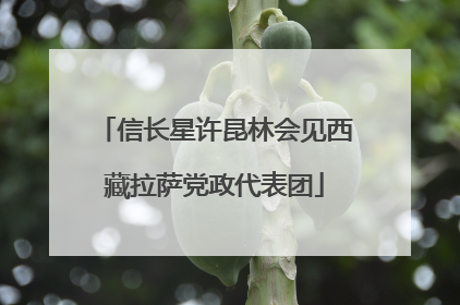信长星许昆林会见西藏拉萨党政代表团