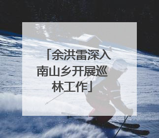 余洪雷深入南山乡开展巡林工作