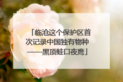 临沧这个保护区首次记录中国独有物种——黑顶蛙口夜鹰