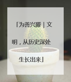 为善兴滕｜文明，从历史深处生长出来