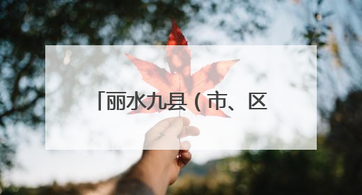 丽水九县（市、区）组团向新疆推介“村礼” 热闹的“村晚”乐云端