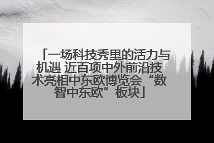 一场科技秀里的活力与机遇 近百项中外前沿技术亮相中东欧博览会“数智中东欧”板块