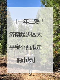 一年三熟！济南起步区太平宝小西瓜走俏市场