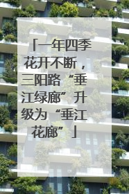 一年四季花开不断，三阳路“垂江绿廊”升级为“垂江花廊”