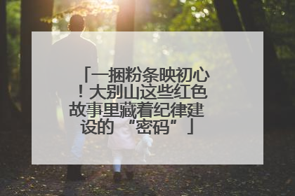 一捆粉条映初心！大别山这些红色故事里藏着纪律建设的 “密码”
