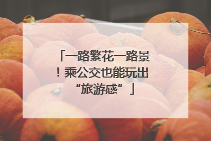 一路繁花一路景！乘公交也能玩出“旅游感”