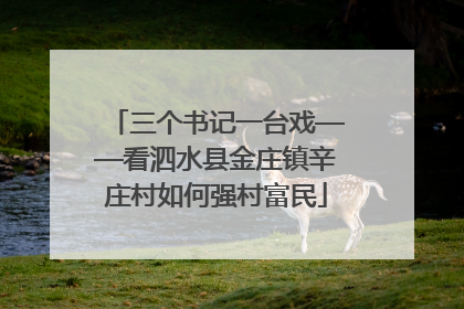 三个书记一台戏——看泗水县金庄镇辛庄村如何强村富民