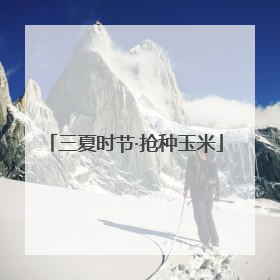 三夏时节·抢种玉米