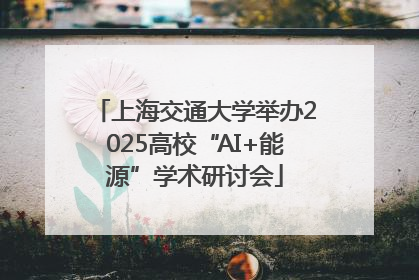 上海交通大学举办2025高校“AI+能源”学术研讨会