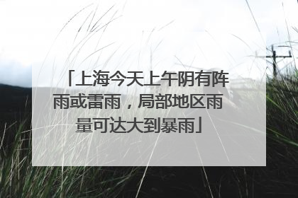 上海今天上午阴有阵雨或雷雨，局部地区雨量可达大到暴雨