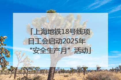 上海地铁18号线项目工会启动2025年“安全生产月”活动