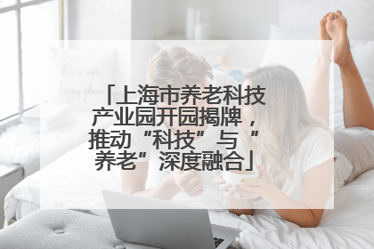 上海市养老科技产业园开园揭牌，推动“科技”与“养老”深度融合