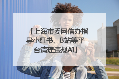 上海市委网信办指导小红书、B站等平台清理违规AI
