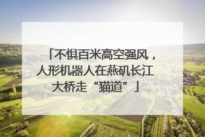 不惧百米高空强风，人形机器人在燕矶长江大桥走“猫道”