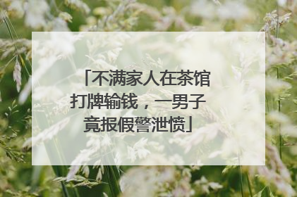 不满家人在茶馆打牌输钱，一男子竟报假警泄愤