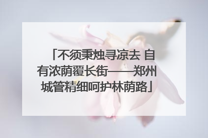 不须秉烛寻凉去 自有浓荫覆长街——郑州城管精细呵护林荫路