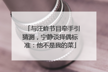 与汪峰节目牵手引猜测，宁静谈择偶标准：他不是我的菜