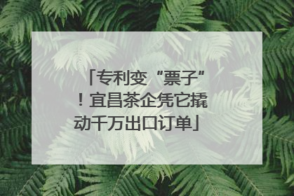 专利变“票子”！宜昌茶企凭它撬动千万出口订单