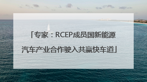 专家：RCEP成员国新能源汽车产业合作驶入共赢快车道