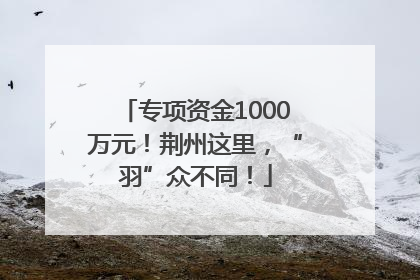 专项资金1000万元！荆州这里，“羽”众不同！