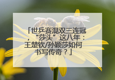 世乒赛混双三连冠，“莎头”这八年：王楚钦/孙颖莎如何书写传奇？