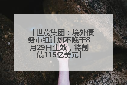 世茂集团：境外债务重组计划不晚于8月29日生效，将削债115亿美元