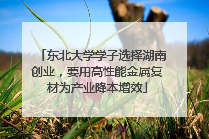 东北大学学子选择湖南创业，要用高性能金属复材为产业降本增效