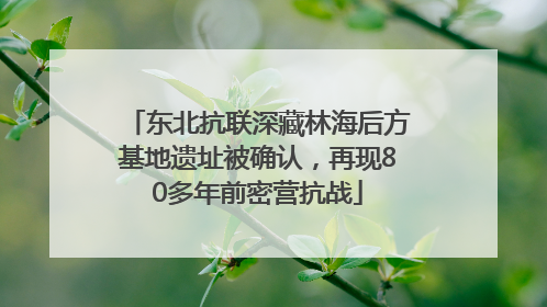东北抗联深藏林海后方基地遗址被确认，再现80多年前密营抗战