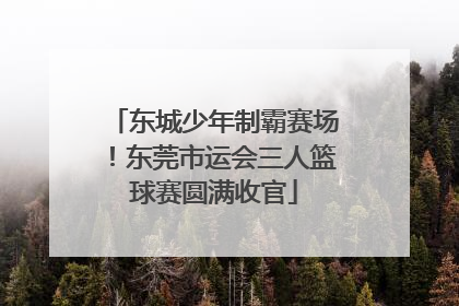 东城少年制霸赛场！东莞市运会三人篮球赛圆满收官