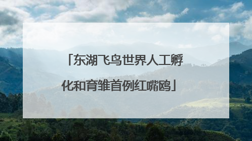 东湖飞鸟世界人工孵化和育雏首例红嘴鸥