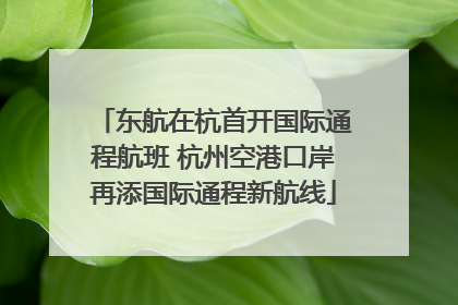 东航在杭首开国际通程航班 杭州空港口岸再添国际通程新航线