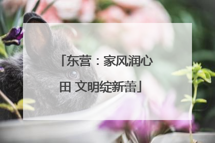 东营：家风润心田 文明绽新蕾