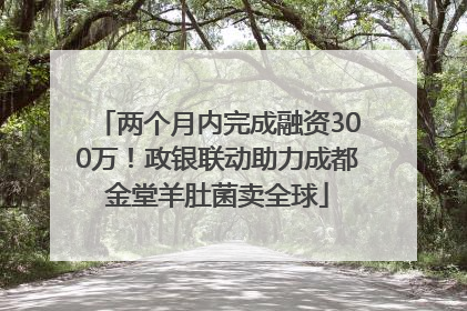 两个月内完成融资300万！政银联动助力成都金堂羊肚菌卖全球