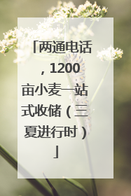 两通电话，1200亩小麦一站式收储（三夏进行时）